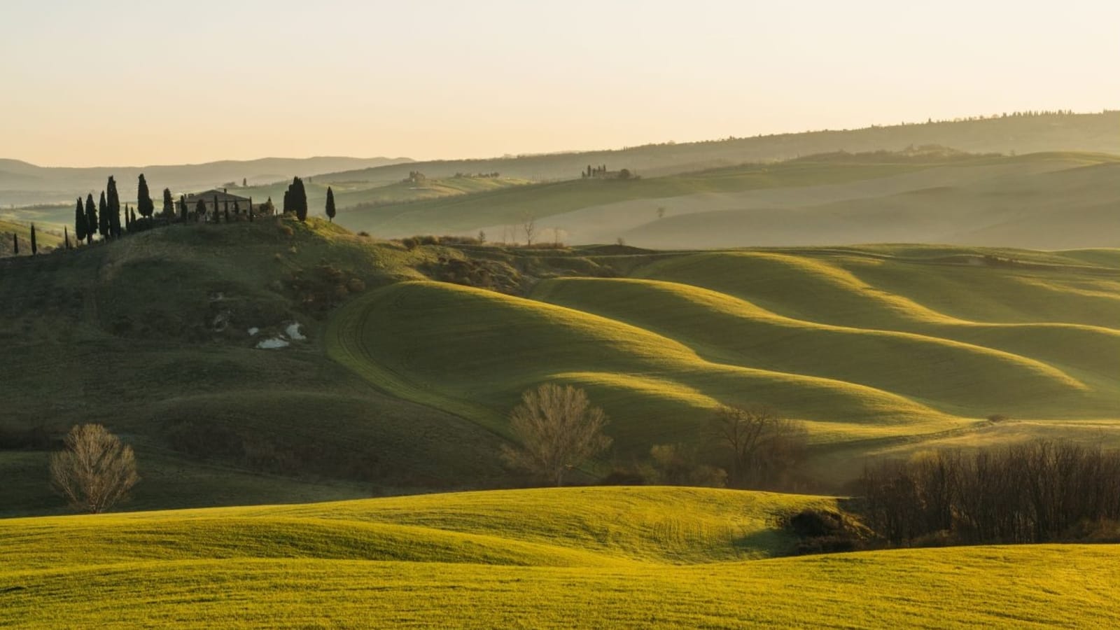 Rolling Tuscan hills with cypress trees in golden light
